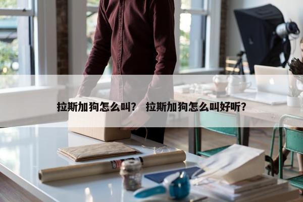 拉斯加狗怎么叫？ 拉斯加狗怎么叫好听？