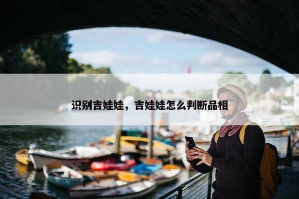 识别吉娃娃，吉娃娃怎么判断品相