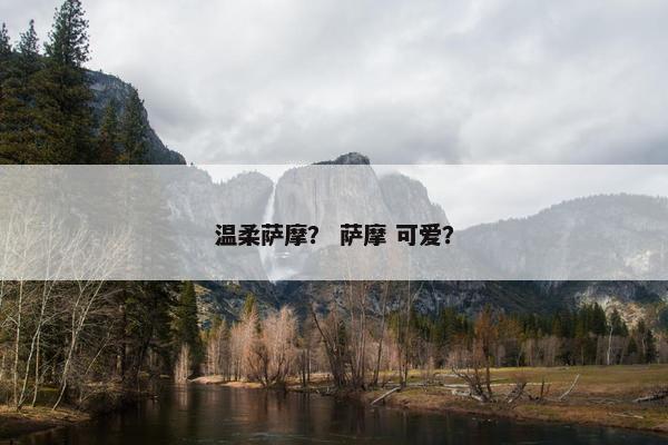 温柔萨摩？ 萨摩 可爱？