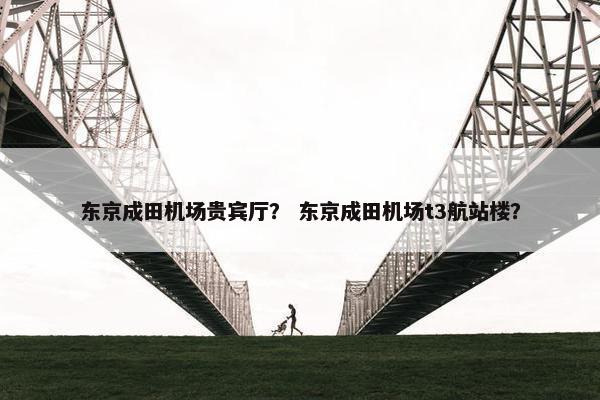 东京成田机场贵宾厅？ 东京成田机场t3航站楼？