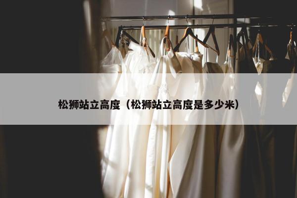 松狮站立高度（松狮站立高度是多少米）