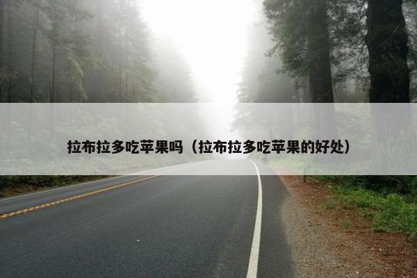 拉布拉多吃苹果吗（拉布拉多吃苹果的好处）