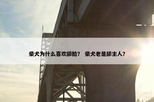 柴犬为什么喜欢舔脸？ 柴犬老是舔主人？