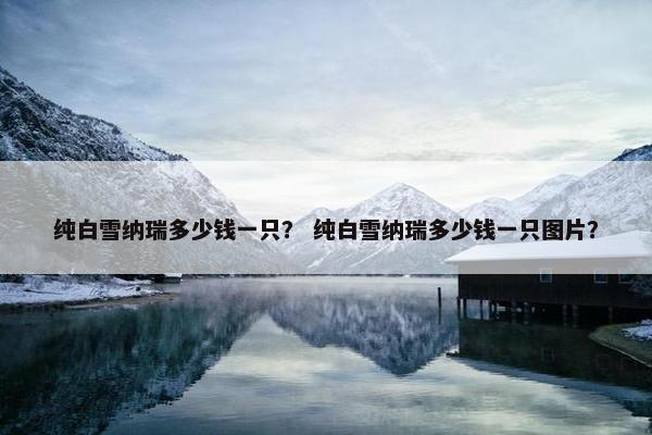 纯白雪纳瑞多少钱一只？ 纯白雪纳瑞多少钱一只图片？