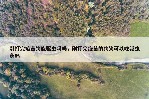刚打完疫苗狗能驱虫吗吗，刚打完疫苗的狗狗可以吃驱虫药吗