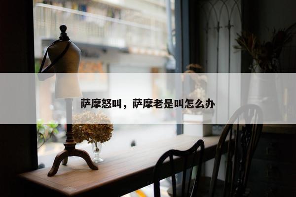 萨摩怒叫，萨摩老是叫怎么办