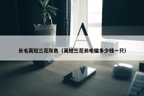 长毛英短三花灰色（英短三花长毛猫多少钱一只）
