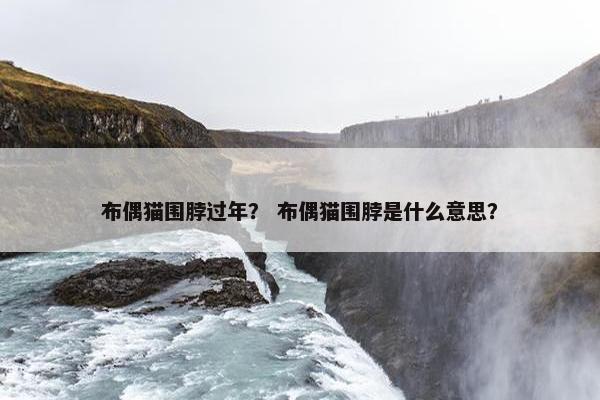布偶猫围脖过年？ 布偶猫围脖是什么意思？
