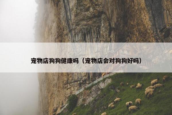 宠物店狗狗健康吗（宠物店会对狗狗好吗）
