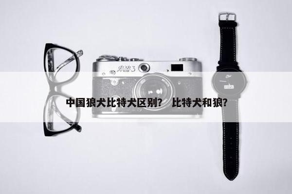 中国狼犬比特犬区别？ 比特犬和狼？