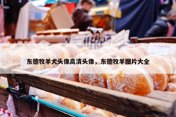 东德牧羊犬头像高清头像，东德牧羊图片大全