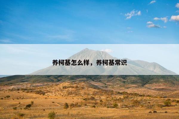 养柯基怎么样，养柯基常识