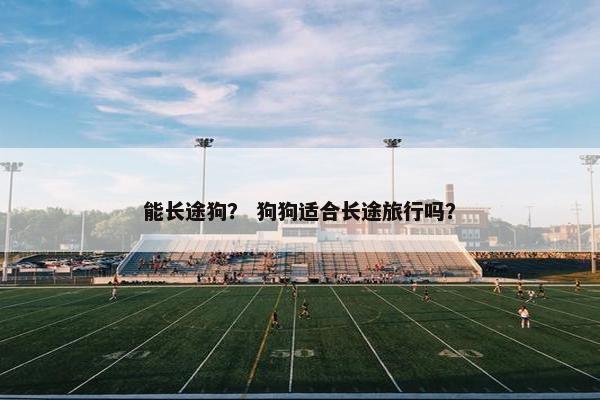 能长途狗？ 狗狗适合长途旅行吗？