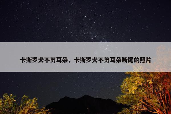卡斯罗犬不剪耳朵，卡斯罗犬不剪耳朵断尾的照片