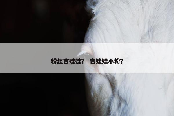 粉丝吉娃娃？ 吉娃娃小粉？