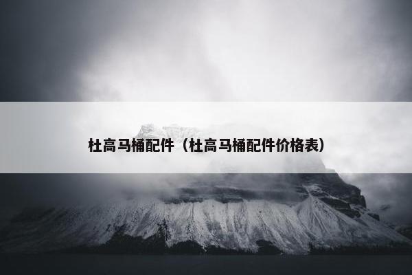 杜高马桶配件（杜高马桶配件价格表）
