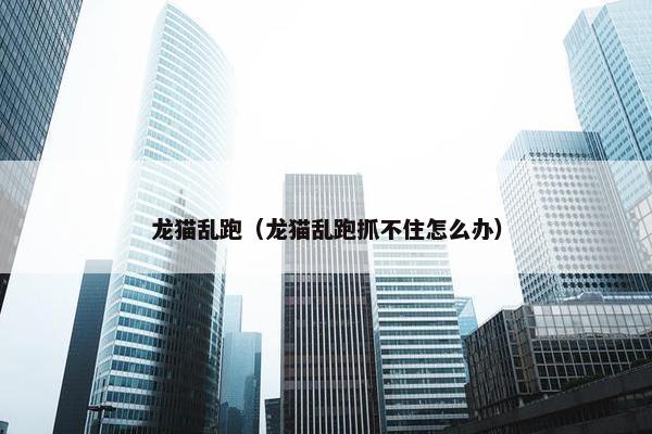 龙猫乱跑（龙猫乱跑抓不住怎么办）