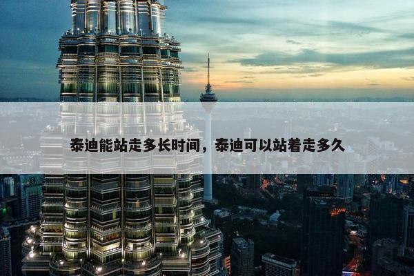 泰迪能站走多长时间，泰迪可以站着走多久