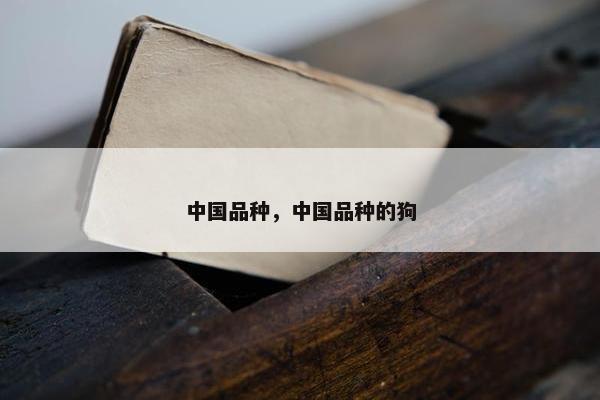 中国品种，中国品种的狗