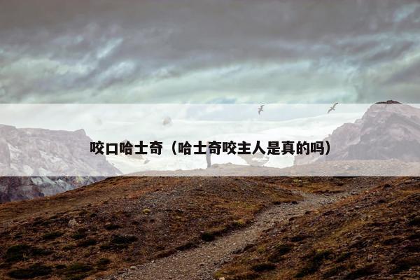 咬口哈士奇（哈士奇咬主人是真的吗）