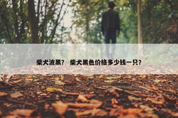 柴犬波黑？ 柴犬黑色价格多少钱一只？