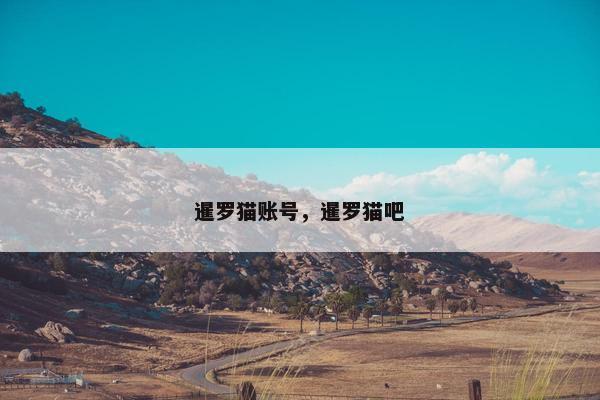暹罗猫账号，暹罗猫吧