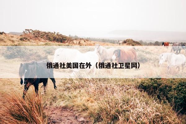 俄通社美国在外（俄通社卫星网）