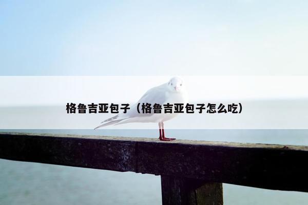 格鲁吉亚包子（格鲁吉亚包子怎么吃）
