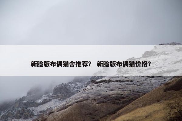 新脸版布偶猫舍推荐？ 新脸版布偶猫价格？