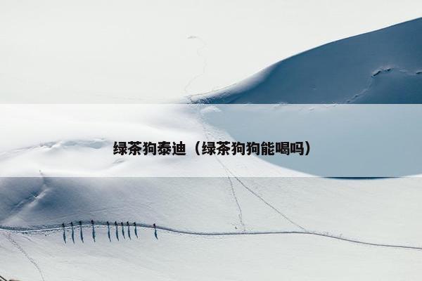 绿茶狗泰迪（绿茶狗狗能喝吗）