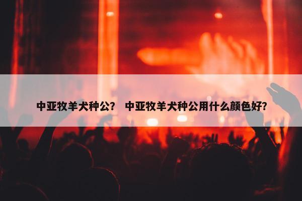 中亚牧羊犬种公？ 中亚牧羊犬种公用什么颜色好？