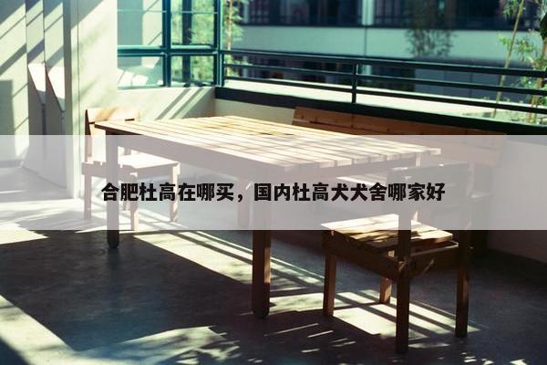 合肥杜高在哪买，国内杜高犬犬舍哪家好