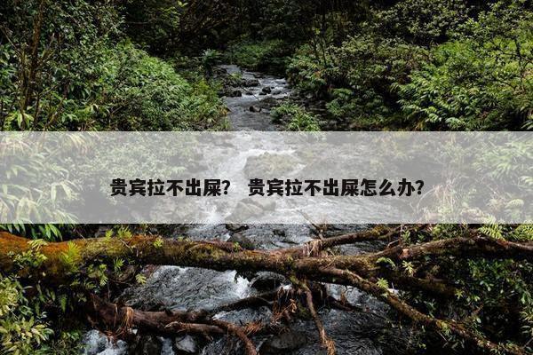 贵宾拉不出屎？ 贵宾拉不出屎怎么办？