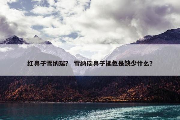 红鼻子雪纳瑞？ 雪纳瑞鼻子褪色是缺少什么？