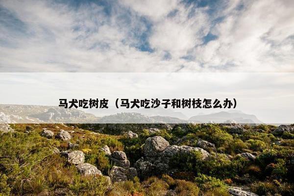 马犬吃树皮（马犬吃沙子和树枝怎么办）