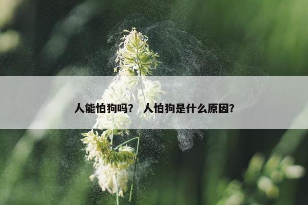 人能怕狗吗？ 人怕狗是什么原因？