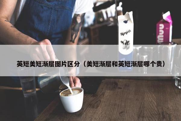 英短美短渐层图片区分（美短渐层和英短渐层哪个贵）