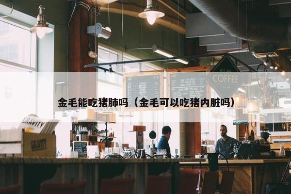 金毛能吃猪肺吗（金毛可以吃猪内脏吗）