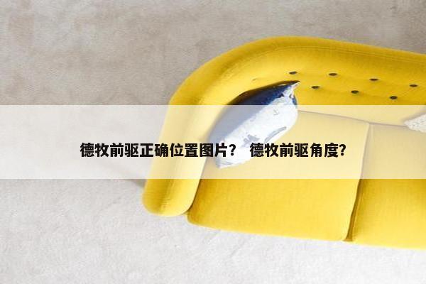 德牧前驱正确位置图片？ 德牧前驱角度？