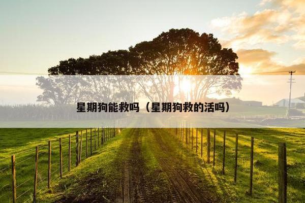 星期狗能救吗（星期狗救的活吗）