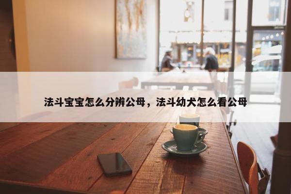 法斗宝宝怎么分辨公母，法斗幼犬怎么看公母