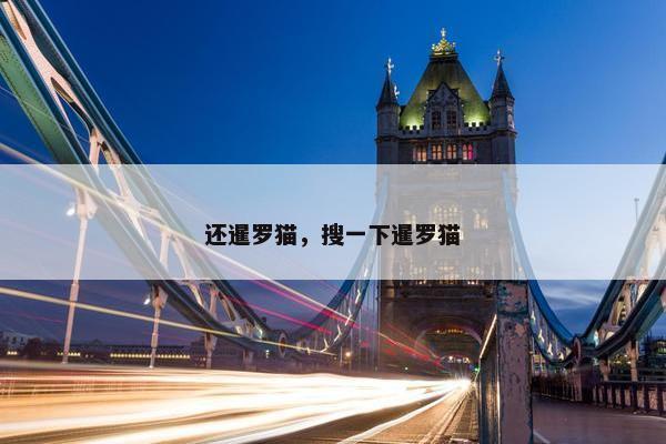 还暹罗猫，搜一下暹罗猫