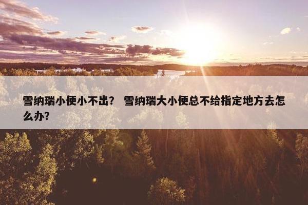 雪纳瑞小便小不出？ 雪纳瑞大小便总不给指定地方去怎么办？