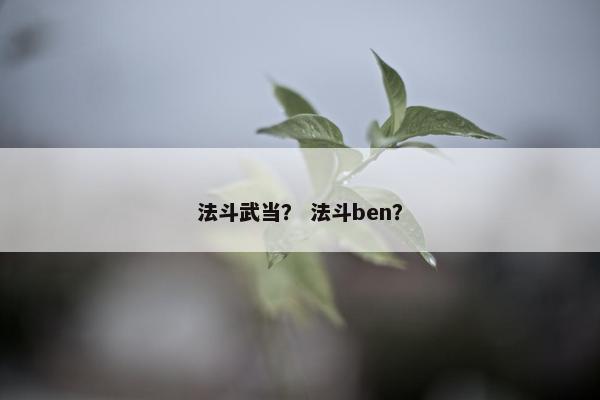 法斗武当？ 法斗ben？