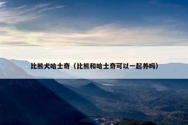 比熊犬哈士奇（比熊和哈士奇可以一起养吗）