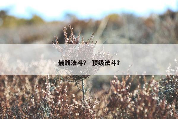 最贱法斗？ 顶级法斗？