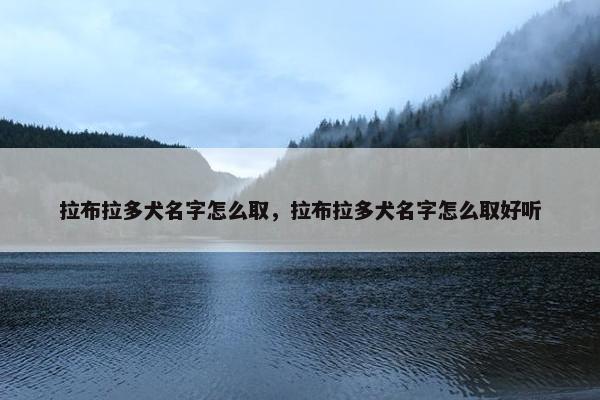 拉布拉多犬名字怎么取，拉布拉多犬名字怎么取好听