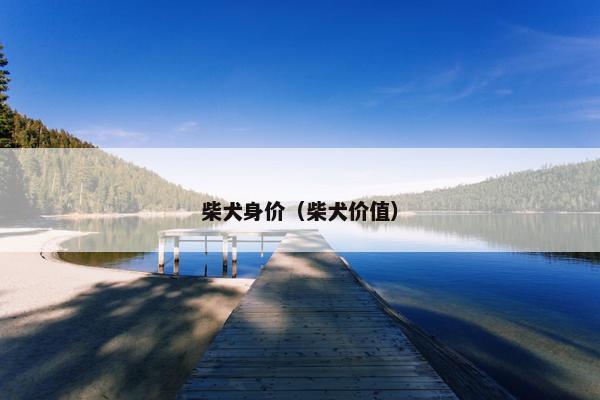柴犬身价（柴犬价值）