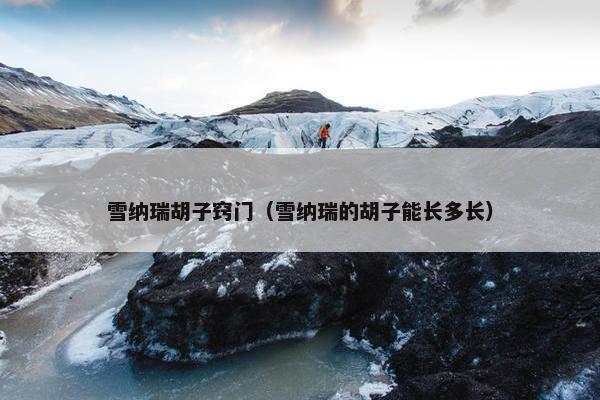 雪纳瑞胡子窍门（雪纳瑞的胡子能长多长）