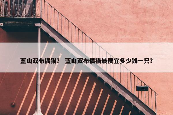 蓝山双布偶猫？ 蓝山双布偶猫最便宜多少钱一只？